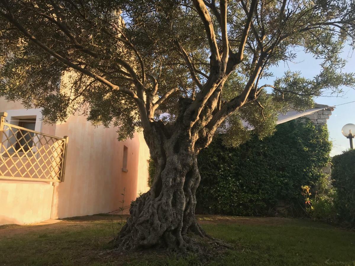 Esmeralda'S Rooms Porto San Paolo  Εξωτερικό φωτογραφία